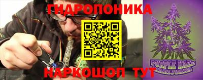 стафф Белореченск