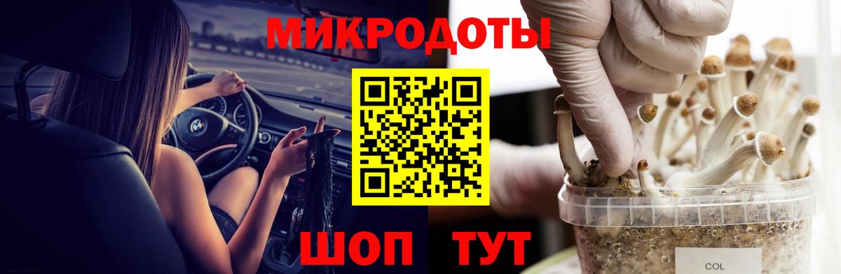 Галлюциногенные грибы Psilocybine cubensis  Вход с VPN  Псилоцибиновые грибы мицелий  Гуково 